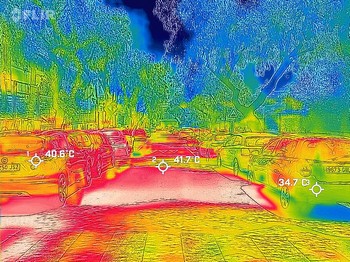 Projecte d’arbrat viari per reduir l’efecte illa de calor - imatge 4